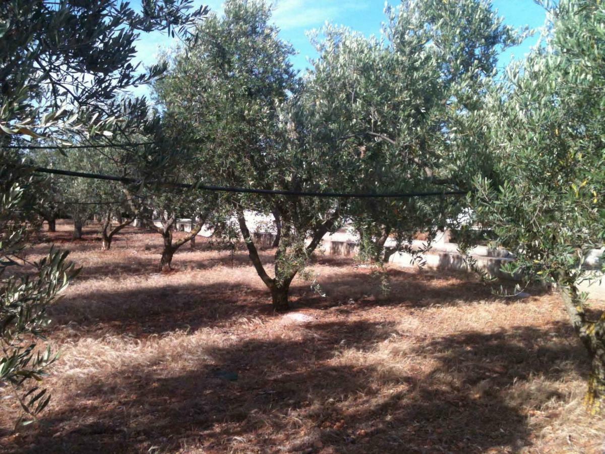 Villa Oasi Tra Gli Ulivi Carovigno Exterior foto